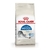 Royal Canin Indoor Gatos x 7.5 kg