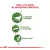 royal-caniin-gatos-active-7-beneficios-animall.com.ar