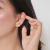 Aretes Arge