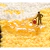 Alfombra Antideslizante Soft Baby Duck Patito Kawaii - comprar online