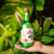 Soju Coreano Jinro Chamisul Sabores 360ml - comprar online