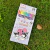Set de 12 Colores Personajes Sanrio - comprar online