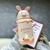 Termo Infantil Acero Inoxidable Carrot - 500ml - Jadys Shop