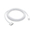 Apple - Original cable MagSafe 3 to USB-C