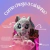 Stitch com Xepa