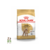 Royal Canin Caniche Adulto 3 Kg