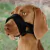 Bozal Lazo Nylon, Entrenamiento, L, 18-30Cm, Negro - comprar online