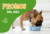 Banner de Zira Pet & Vet - Tienda De Mascotas Online