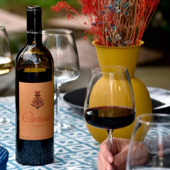 Vinho Tinto Cartuxa Colheita Safra 2020 na internet