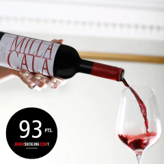 Vinho Tinto VIK MILLA CALA 750ml na internet