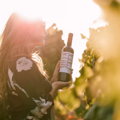 Vinho Tinto VIK MILLA CALA 750ml - DL Destilados