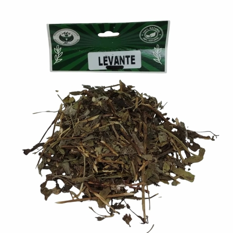 Levante folhas secas utilizadas em banhos e defumações de limpeza espiritual – Loja 7 Folhas