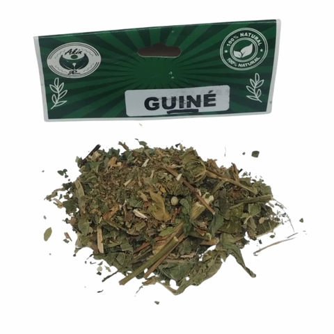 Guiné erva seca para banhos de descarrego e proteção espiritual – Loja 7 Folhas
