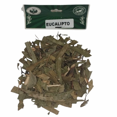 Eucalipto seco para banhos, defumações e limpeza espiritual – Loja 7 Folhas