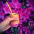 MIJO - Mate Madera Rosa - Olivos Store