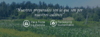 Banner Cantares Biocosmética