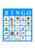BINGO JUNINO - COD211B