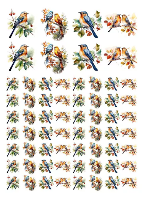 DECALQUE HIDRO TRANSFER - PÁSSAROS - COD1066 - comprar online