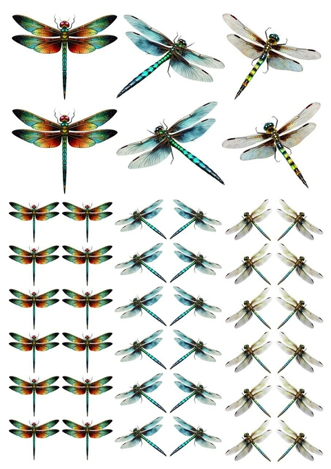 DECALQUE HIDRO TRANSFER - LIBÉLULAS - COD1127 - comprar online