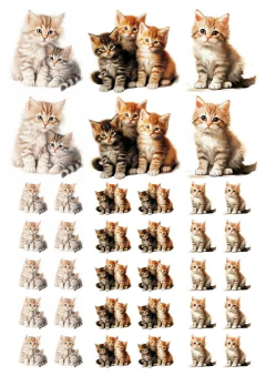 DECALQUE HIDRO TRANSFER - GATOS - COD1148 - comprar online