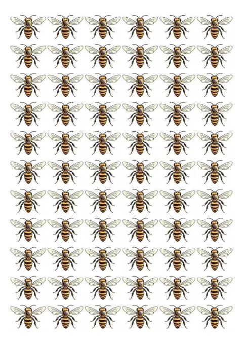 DECALQUE HIDRO TRANSFER - ABELHAS - COD1149 - comprar online