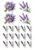 DECALQUE HIDRO TRANSFER - LAVANDA - COD1157 - comprar online