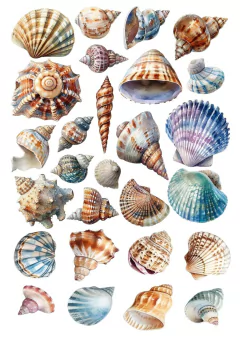 DECALQUE HIDRO TRANSFER - MAR - COD1160 - comprar online