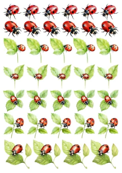 DECALQUE HIDRO TRANSFER - JOANINHA - COD1161 - comprar online