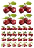 DECALQUE HIDRO TRANSFER - CEREJAS - COD1171 - comprar online