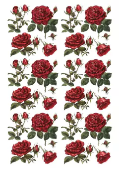 DECALQUE HIDRO TRANSFER - ROSAS - COD1194 - comprar online