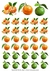 DECALQUE HIDRO TRANSFER - FRUTAS - COD1308