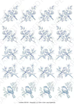 DECALQUE HIDRO TRANSFER - PÁSSAROS - COD1351 - comprar online