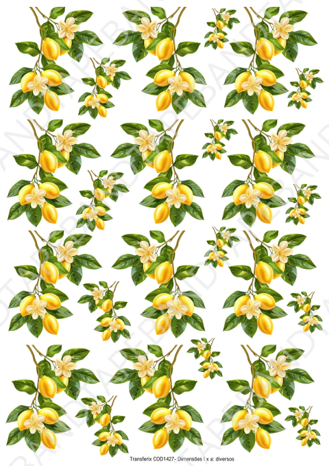 DECALQUE HIDRO TRANSFER - LIMÃO S - COD1427 - comprar online