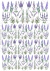 DECALQUE HIDRO TRANSFER - LAVANDA - COD1433