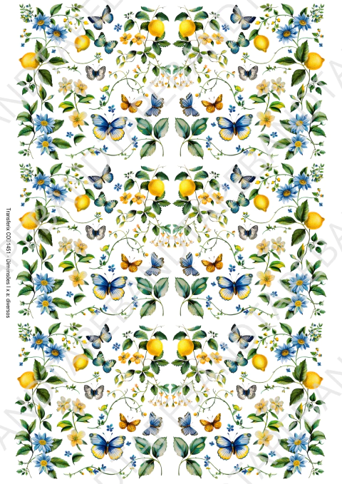 DECALQUE HIDRO TRANSFER - LIMÃO S - COD1451