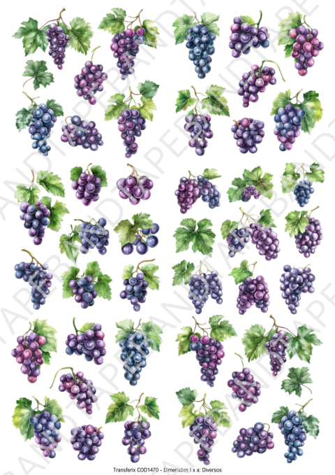 DECALQUE HIDRO TRANSFER - UVAS - COD1470