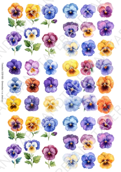 DECALQUE HIDRO TRANSFER - FLORES - COD1505 - comprar online