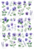 DECALQUE HIDRO TRANSFER - FLORES - COD1508