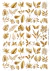 DECALQUE HIDRO TRANSFER - FOLHAS - COD1591
