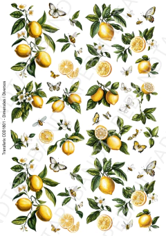 DECALQUE HIDRO TRANSFER - LIMÃO S - COD1801 - comprar online