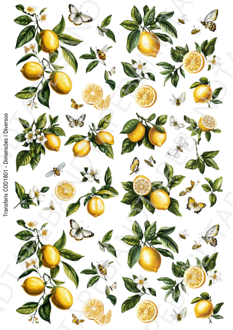 DECALQUE HIDRO TRANSFER - LIMÃO S - COD1801 - comprar online