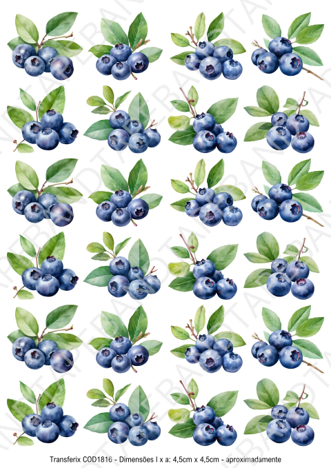 DECALQUE HIDRO TRANSFER - FRUTAS - COD1816 - comprar online