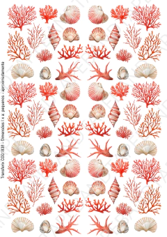 DECALQUE HIDRO TRANSFER - MAR - COD1838