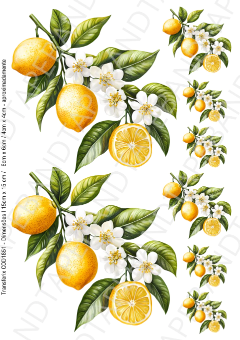 DECALQUE HIDRO TRANSFER - LIMÃO S - COD1851 - comprar online