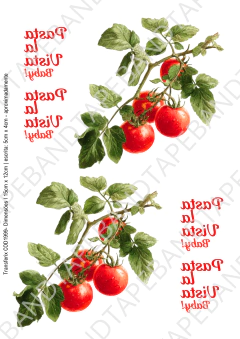 DECALQUE HIDRO TRANSFER - PASTA LA VISTA - COD1999