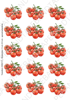 DECALQUE HIDRO TRANSFER - TOMATE ROYALE - COD2111 - comprar online