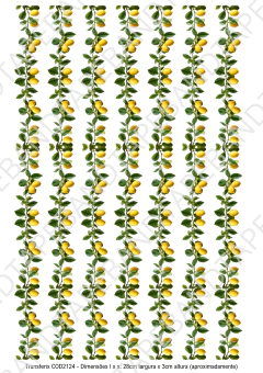 DECALQUE HIDRO TRANSFER - LIMÃO - COD2124 - comprar online
