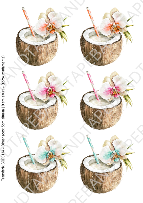 DECALQUE HIDRO TRANSFER - HOT SUMMER - COD3114