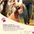 Defenza Antipulgas e Carrapatos para Cães de 40 a 56kg - 1 comprimido - Terra Mater Agro & Pet