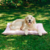 Cama Pet G - Rosa - Solo Pet na internet